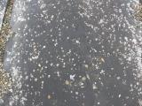 image of grave number 57898